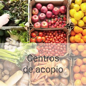 centros-de-acopio-PI
