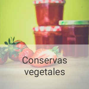 conservas-vegetales-PI
